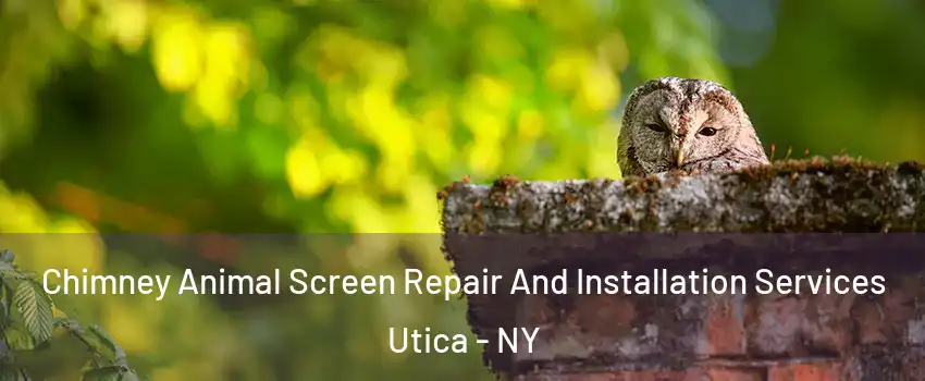  Chimney Animal Screen Repair And Installation Services Utica - NY