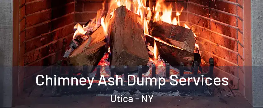  Chimney Ash Dump Services Utica - NY