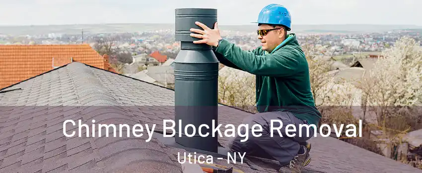  Chimney Blockage Removal Utica - NY
