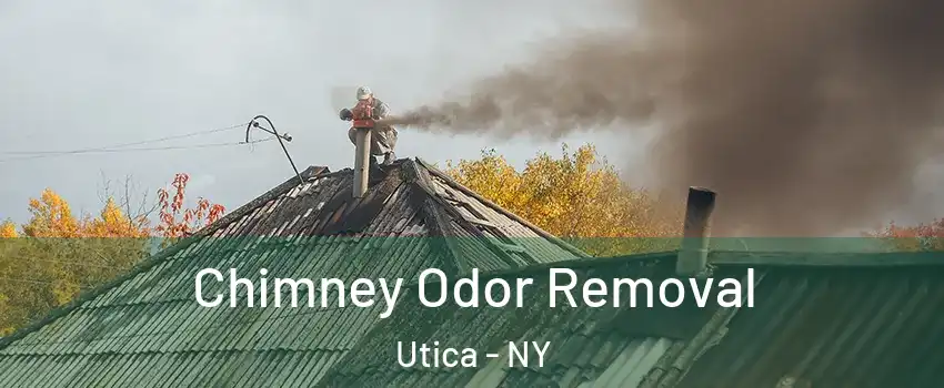  Chimney Odor Removal Utica - NY