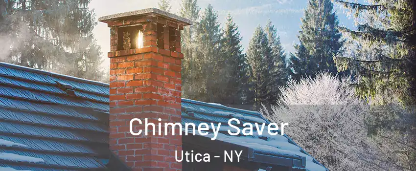  Chimney Saver Utica - NY