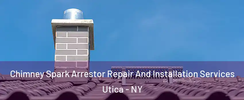  Chimney Spark Arrestor Repair And Installation Services Utica - NY