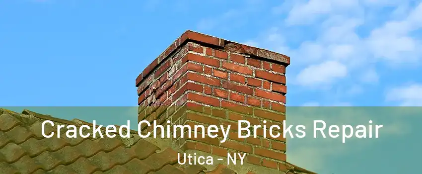  Cracked Chimney Bricks Repair Utica - NY