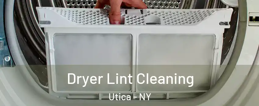  Dryer Lint Cleaning Utica - NY