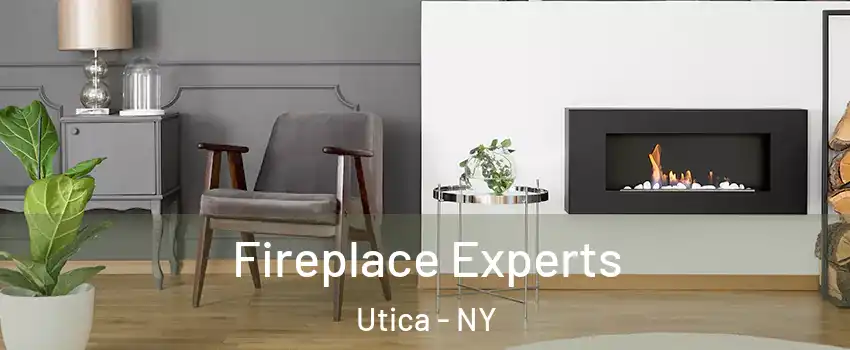  Fireplace Experts Utica - NY