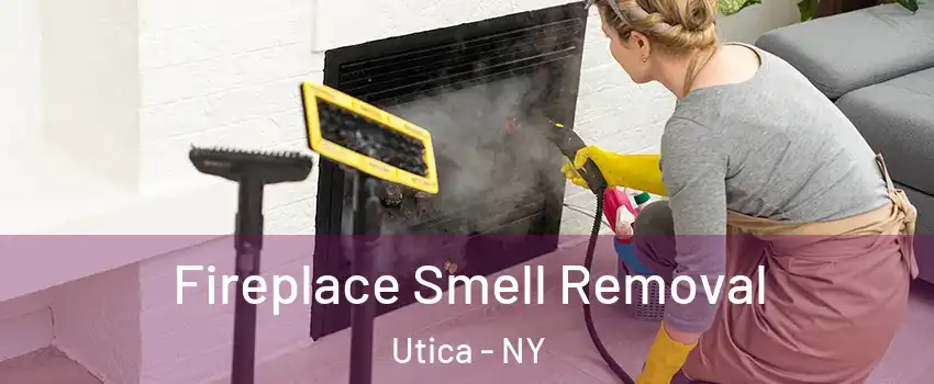  Fireplace Smell Removal Utica - NY