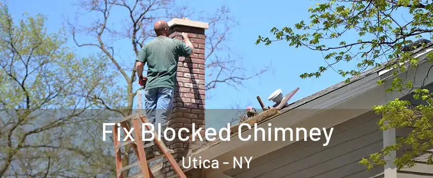 Fix Blocked Chimney Utica - NY