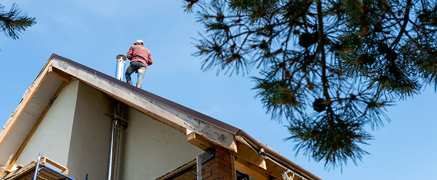 Birds Removal Contractors from Chimney in Utica, NY