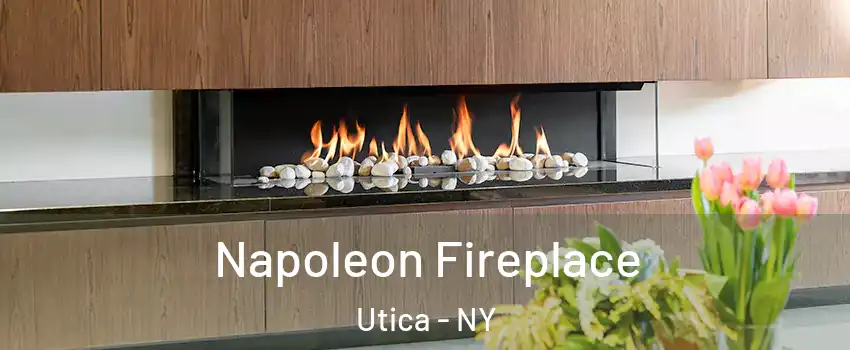  Napoleon Fireplace Utica - NY