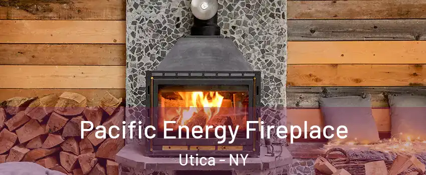  Pacific Energy Fireplace Utica - NY